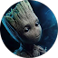 AZIR P.