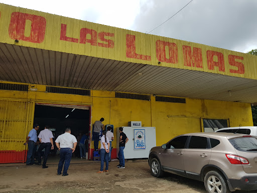 S/C Las Lomas